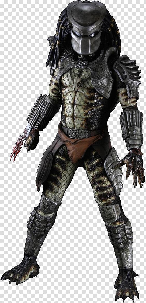 Predator transparent background PNG clipart