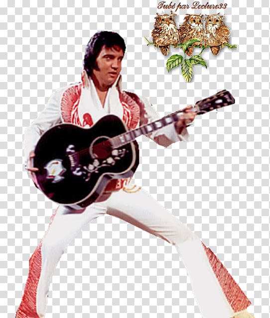 Slide guitar Elvis, The Pelvis ! Sitar, guitar transparent background PNG clipart