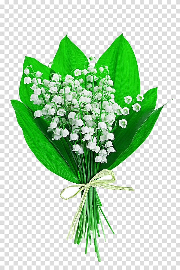 Lily of the valley Flower bouquet Lilium, bouquet transparent background PNG clipart