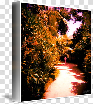 Desktop Nature M Computer, Computer transparent background PNG clipart thumbnail