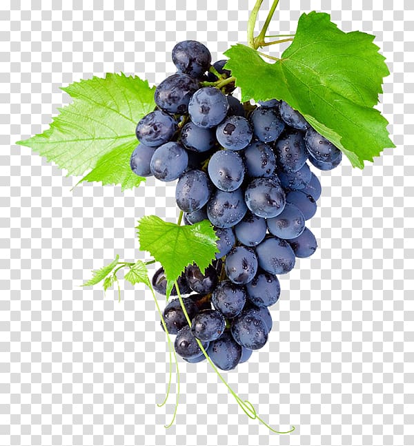 bunch of grapes, Kyoho Grapevines Raceme, A bunch of grapes transparent background PNG clipart