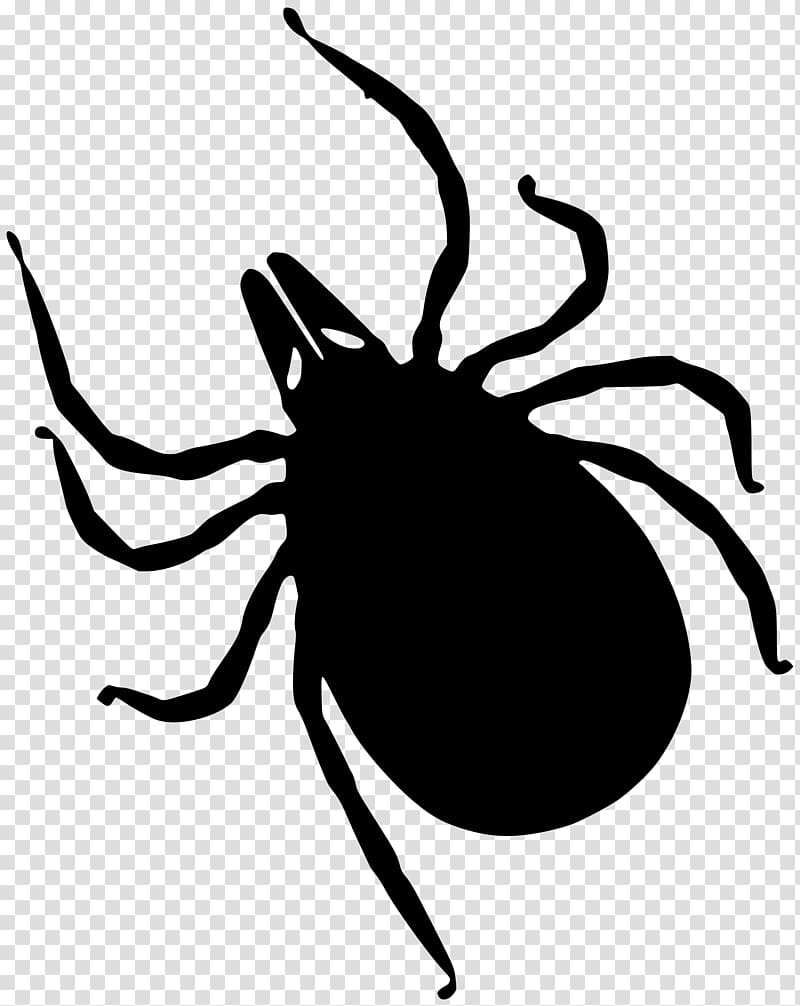 Tick transparent background PNG clipart