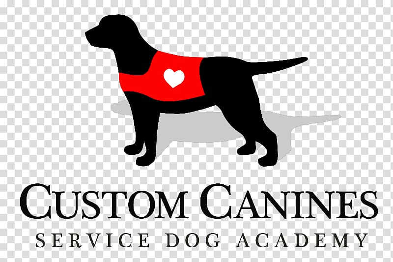 Labrador Retriever Puppy Dog breed Golden Retriever Custom Canines Service Dog Academy, puppy transparent background PNG clipart