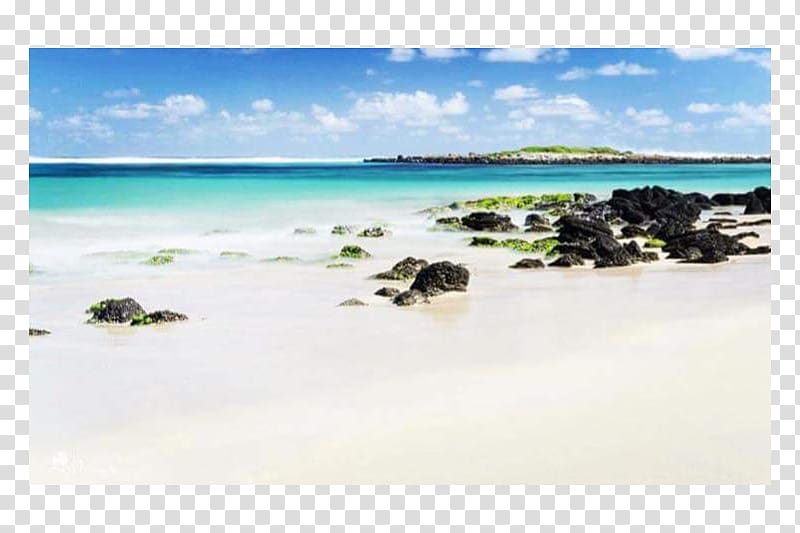 Sea Caribbean Beach Coast Ocean, sea transparent background PNG clipart