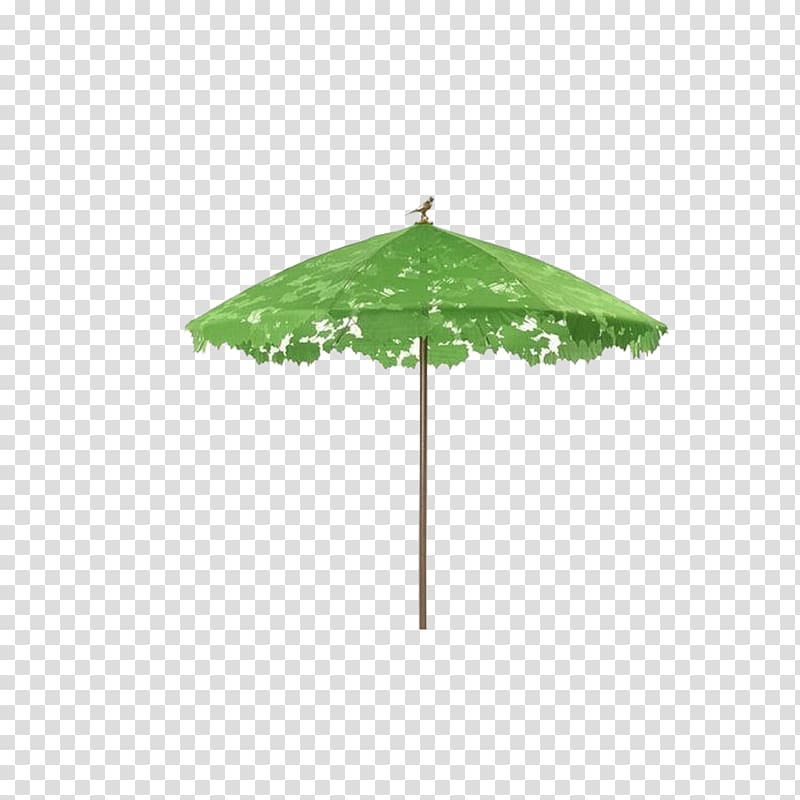 Umbrella Droog Shade Auringonvarjo, Umbrella plant transparent background PNG clipart