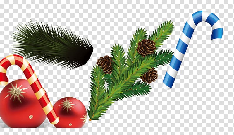 Pine nut Christmas ornament Christmas tree, Sugar Pine decoration ball transparent background PNG clipart