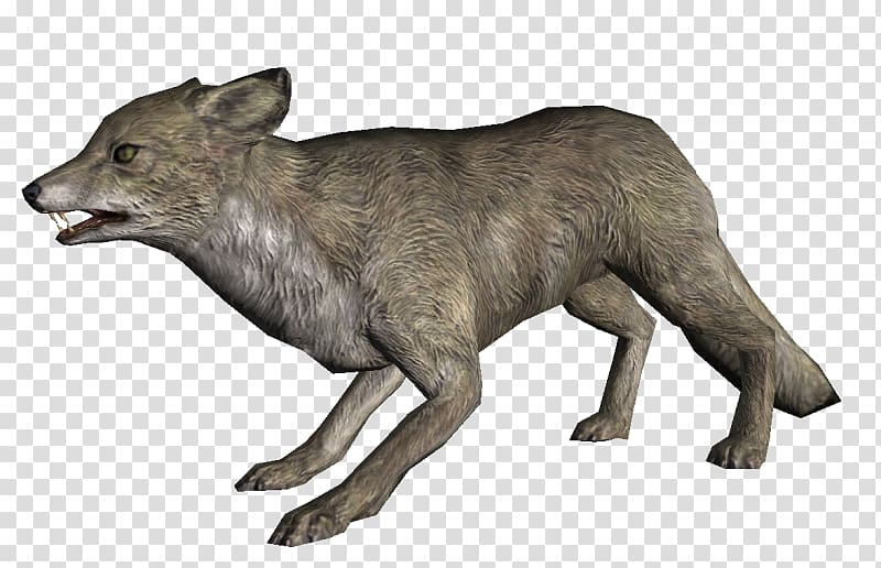 Arctic fox The Elder Scrolls V: Skyrim – Dragonborn The Elder Scrolls: Legends Coyote Gray wolf, arctic fox transparent background PNG clipart