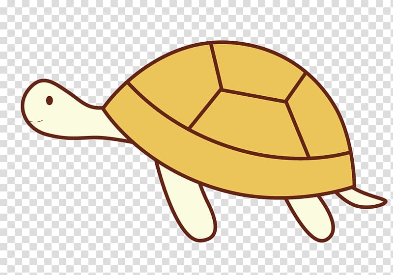 Euclidean , Meng Meng da baby turtles transparent background PNG clipart
