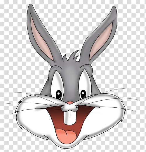 Bugs Bunny Lola Bunny Hare Rabbit, bunny rabbit transparent background PNG clipart