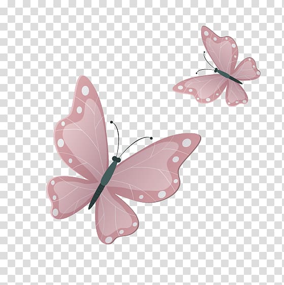 Butterfly Google , Pink Butterfly transparent background PNG clipart
