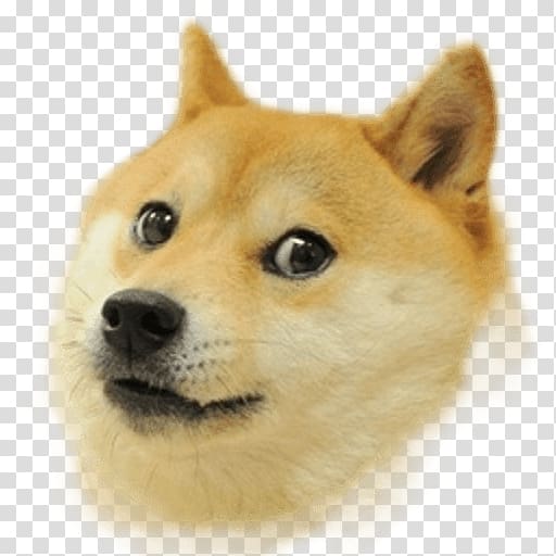 Shiba Inu Doge 2048 0 Doge Snake, others transparent background PNG clipart