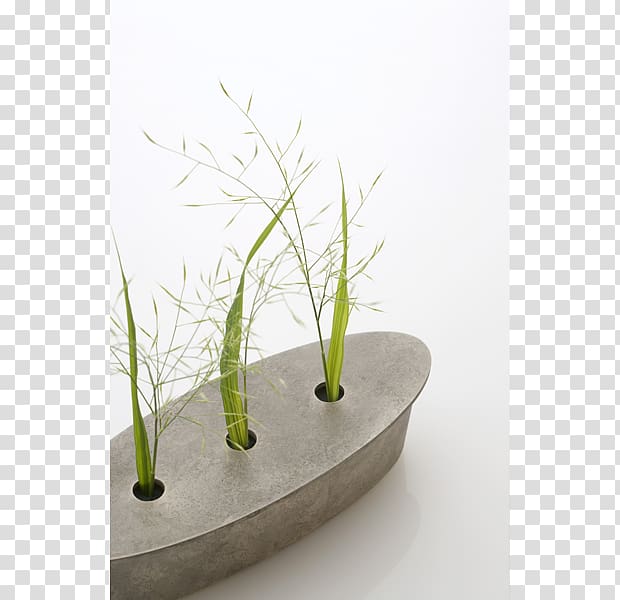 Grasses Flowerpot Ikebana, design transparent background PNG clipart