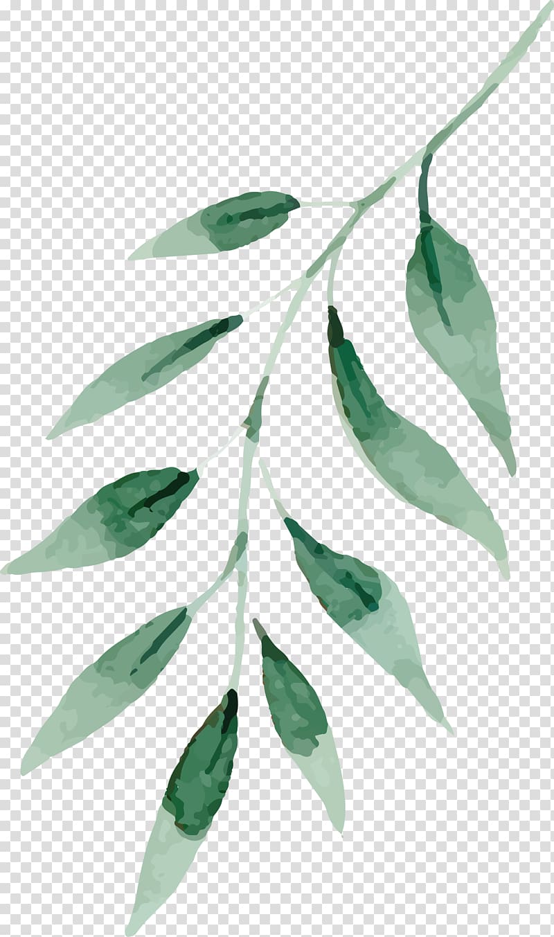 green leaf painting, Watercolor painting Drawing Leaf, Fresh water, green leaves transparent background PNG clipart