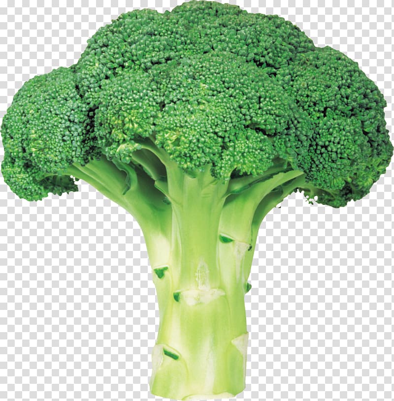 green broccoli, Broccoli Vegetable, Broccoli with background transparent background PNG clipart