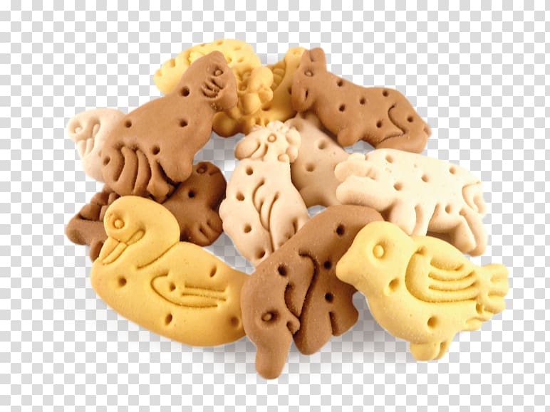 Animal cracker Chocolate bar Biscuit Dog Food, biscuit transparent background PNG clipart
