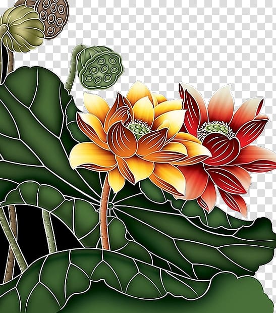 Nelumbo nucifera Art Painting Drawing, Creative hand-painted lotus transparent background PNG clipart