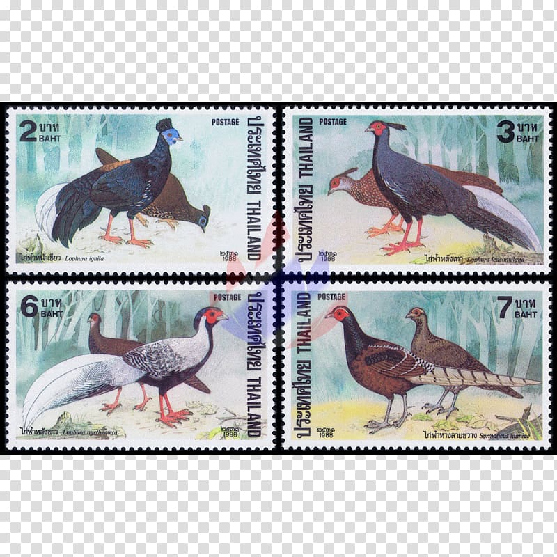 Kalij pheasant Postage Stamps Silver pheasant Dinosaur, dinosaur transparent background PNG clipart
