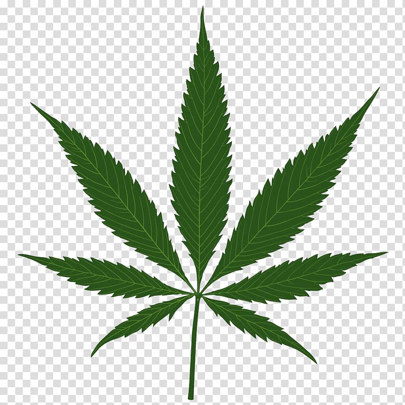 cannabis leaves illustrations transparent background PNG clipart