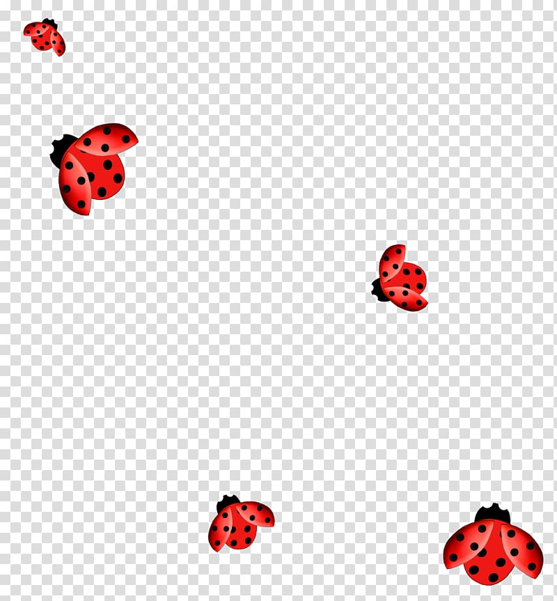 Ladybird , insect transparent background PNG clipart