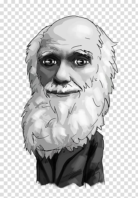 Human Business Foreign Exchange Market Investment Nose, charles darwin transparent background PNG clipart