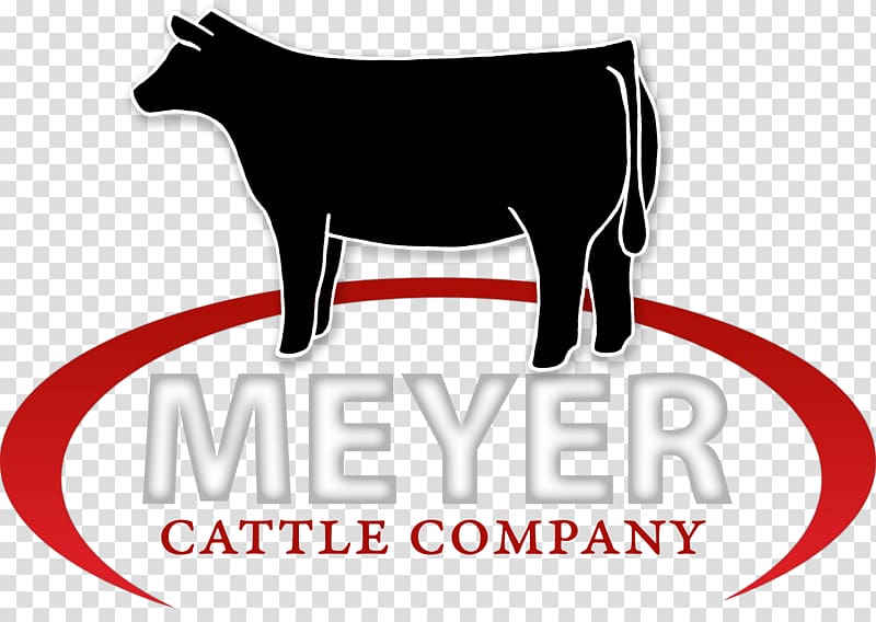 Meyer Cattle Company, Angus Cattle Shorthorn Gelbvieh Highland cattle, cattle transparent background PNG clipart