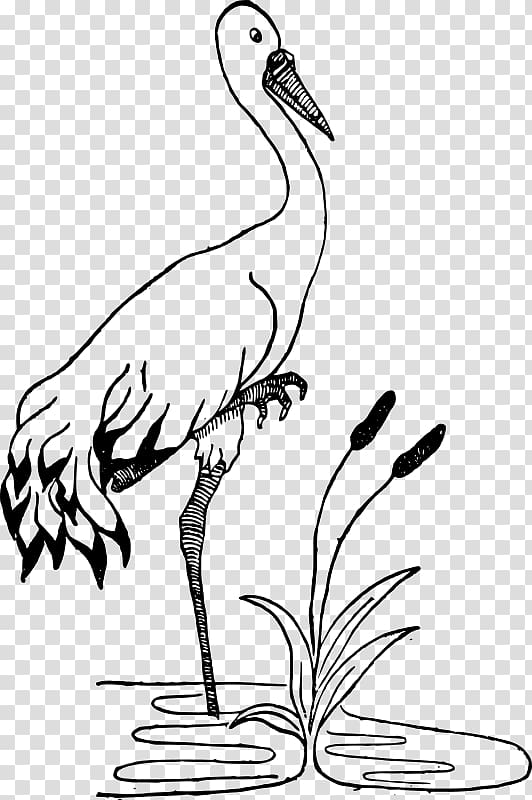 Crane Bird Pond Orizuru , white crane transparent background PNG clipart