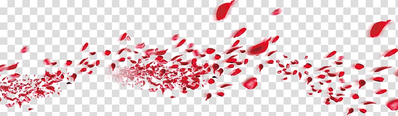 red leaves illustration, Petal Graphic design Garden roses, Flying petals transparent background PNG clipart