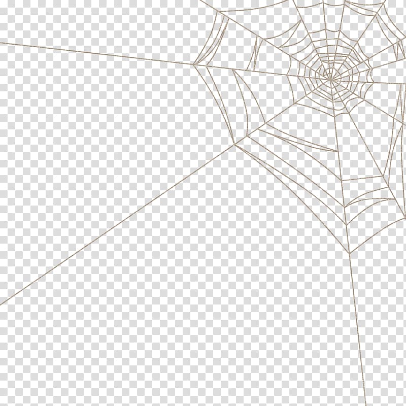 spiderweb illustration, Floor Line Structure Symmetry Pattern, Spider web spider web cartoon transparent background PNG clipart