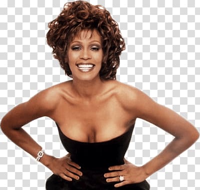 Whitney Houston, Whitney Houston Black Dress transparent background PNG clipart