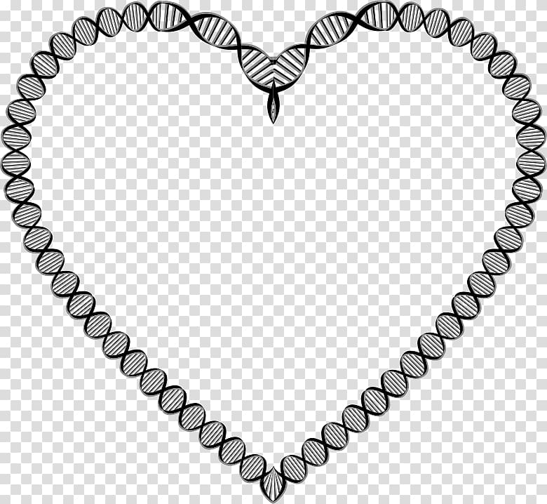 A-DNA Nucleic acid double helix Genetics Biology, heart transparent background PNG clipart