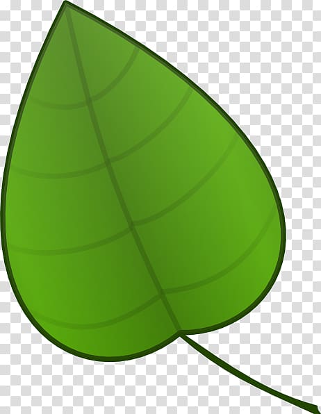 Leaf Free content , Big Leaves transparent background PNG clipart