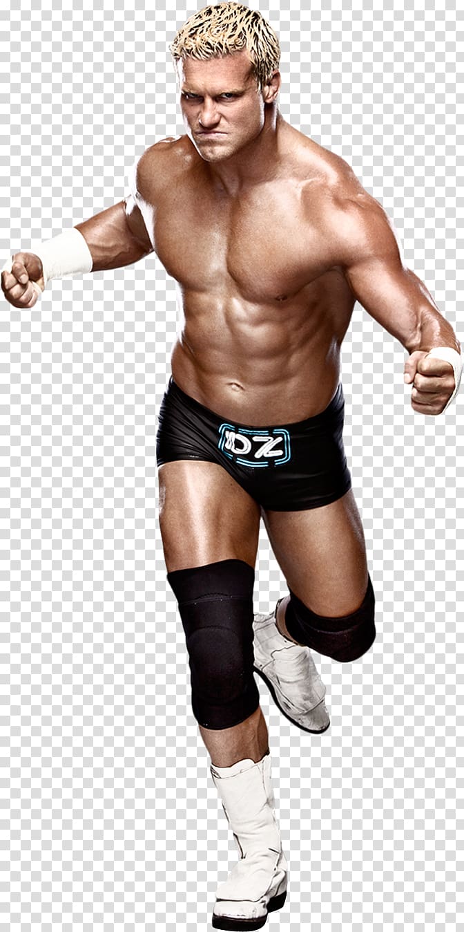 Dolph Ziggler Money in the Bank ladder match WWE Championship ...