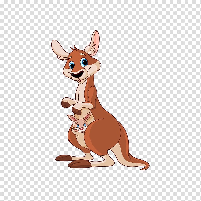 Kangaroo , kangaroo transparent background PNG clipart