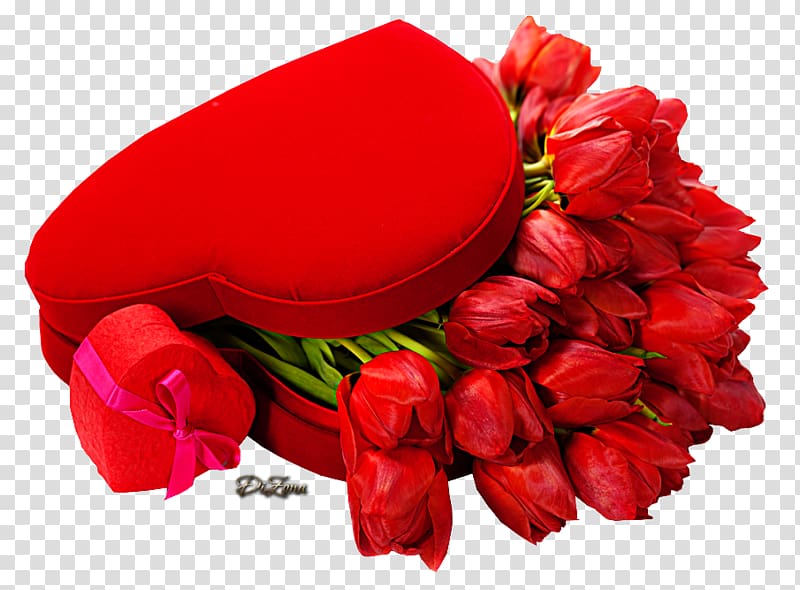 Valentine\'s Day Tulip Flower Desktop Holiday, valentine\'s day transparent background PNG clipart