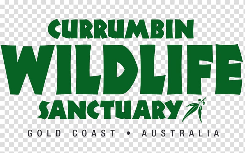 Currumbin Wildlife Sanctuary Sea World Gold Coast Dreamworld Wildlife Refuge, Treetop transparent background PNG clipart