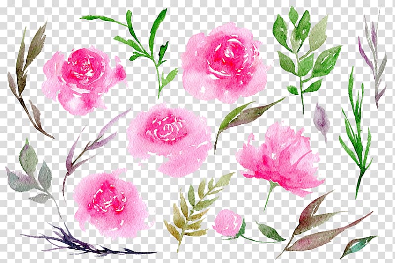 Peony Pink Watercolor painting , Peonies transparent background PNG clipart