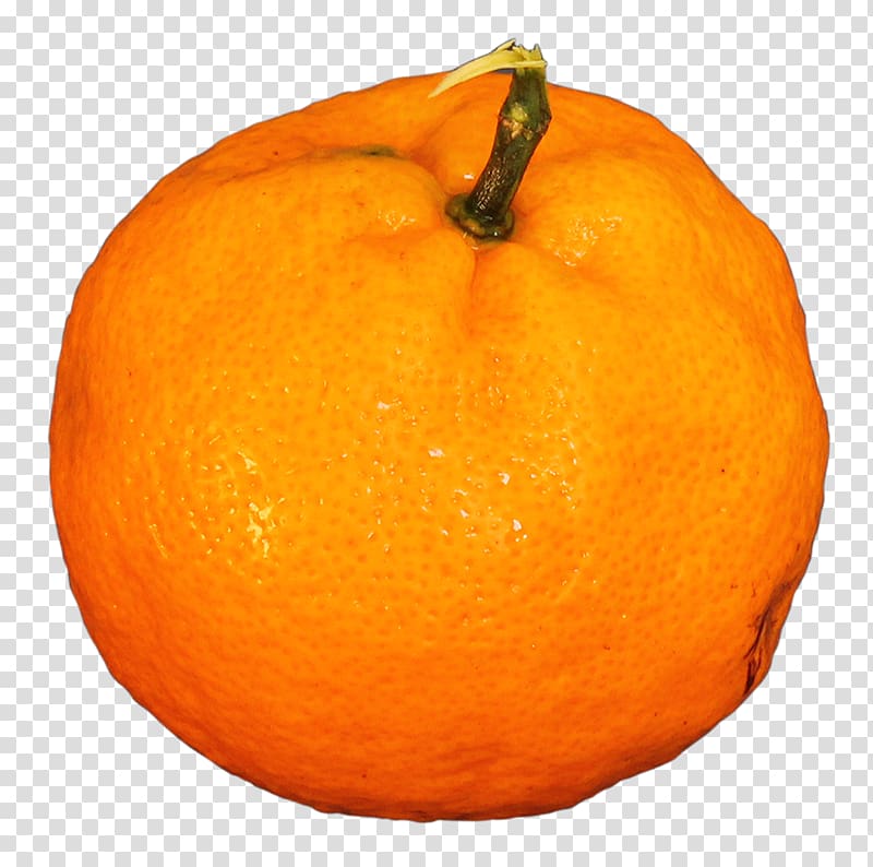 Mandarin orange Tangerine Tangelo Citron Rangpur, tangerine transparent background PNG clipart