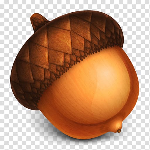 Acorn , Acorn , free, acorns transparent background PNG clipart