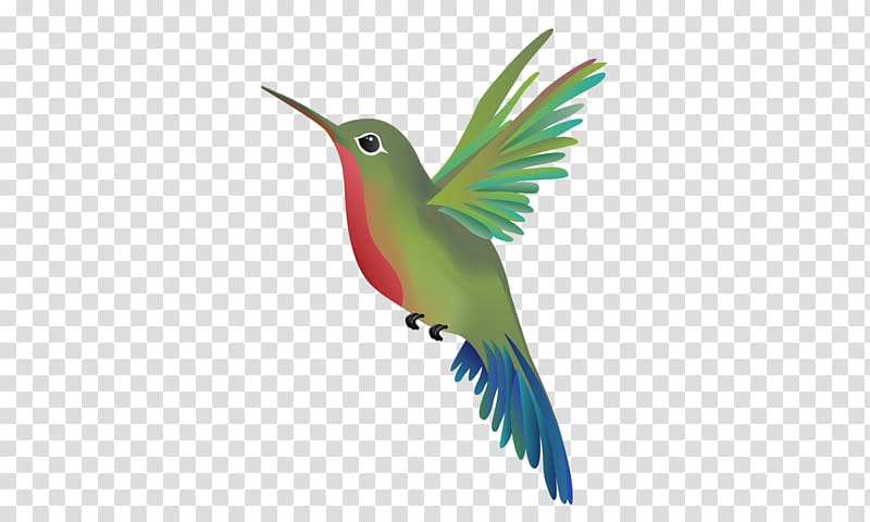 Wandering Hummingbird Massage Beak Parrot, humming bird transparent background PNG clipart