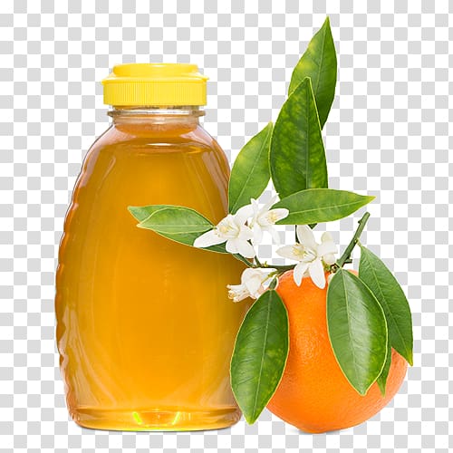 Orange blossom Orange juice Flower, orange transparent background PNG clipart