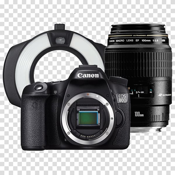 Canon EOS 6D Canon EOS 77D Canon EF-S 18–135mm lens Canon EOS 70D Digital SLR, Camera transparent background PNG clipart