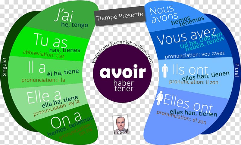 French verbs Present tense Passé composé, pascal transparent background PNG clipart