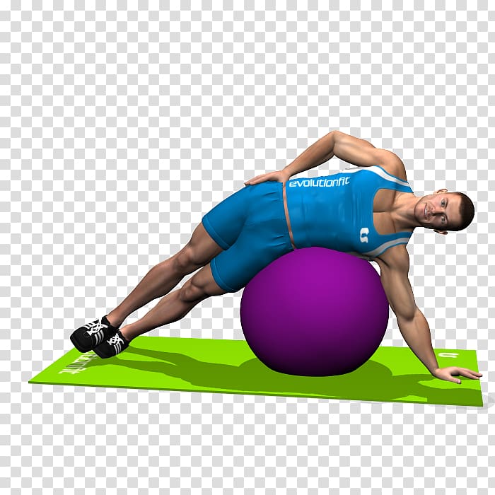 Exercise Balls Pilates Strength Training Anatomy Leg raise, arm transparent background PNG clipart