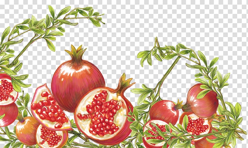 Pomegranate Tomato Food, pomegranate transparent background PNG clipart