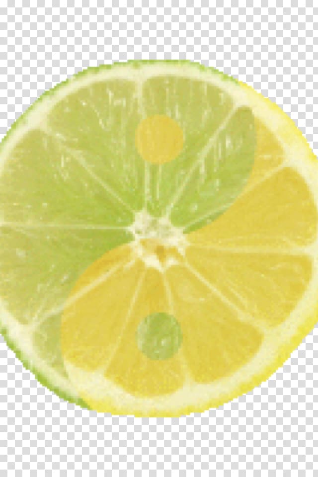 Lemon-lime drink Key lime Persian lime, lime transparent background PNG clipart