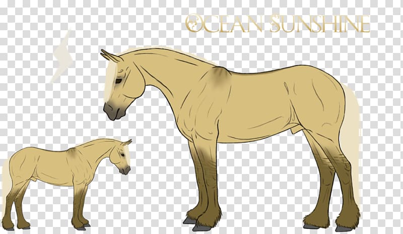 Mule Foal Stallion Mustang Pony, refusing to cheat and discipline transparent background PNG clipart