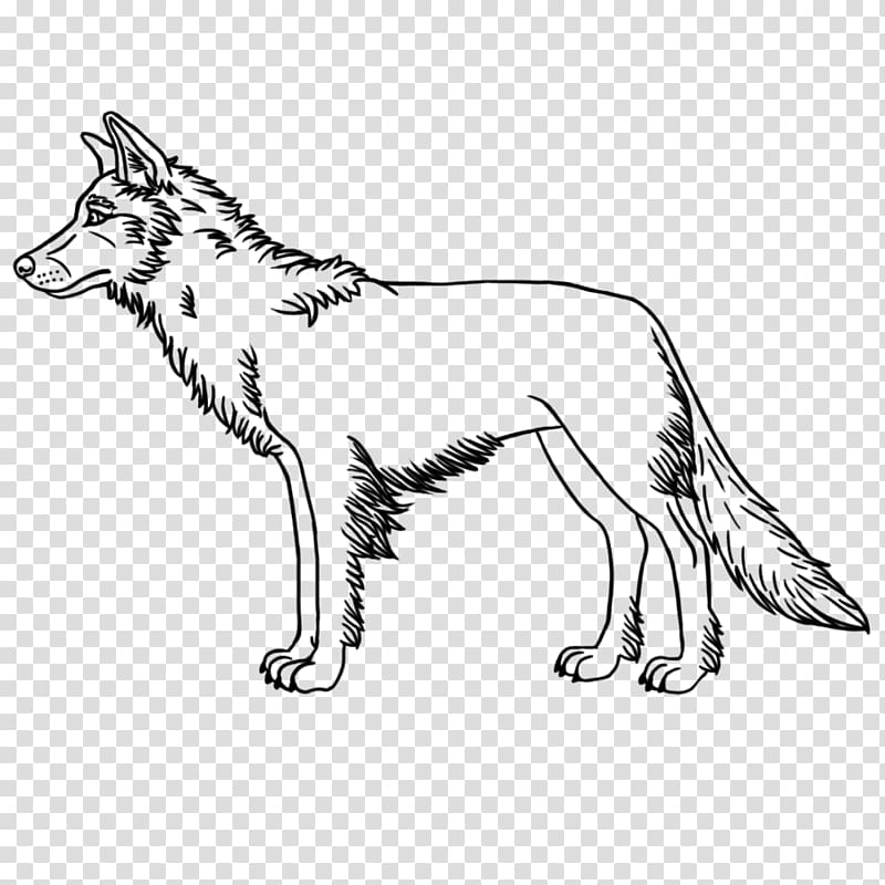 Whiskers Cat Dog breed Red fox, Cat transparent background PNG clipart