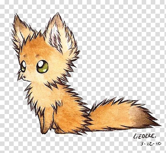 Pokemon Evee illustration, Fennec fox Drawception Arctic fox Gray wolf Drawing, fox transparent background PNG clipart