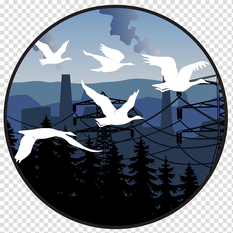 V formation Resource Economics Economy Goose, wild geese fly transparent background PNG clipart