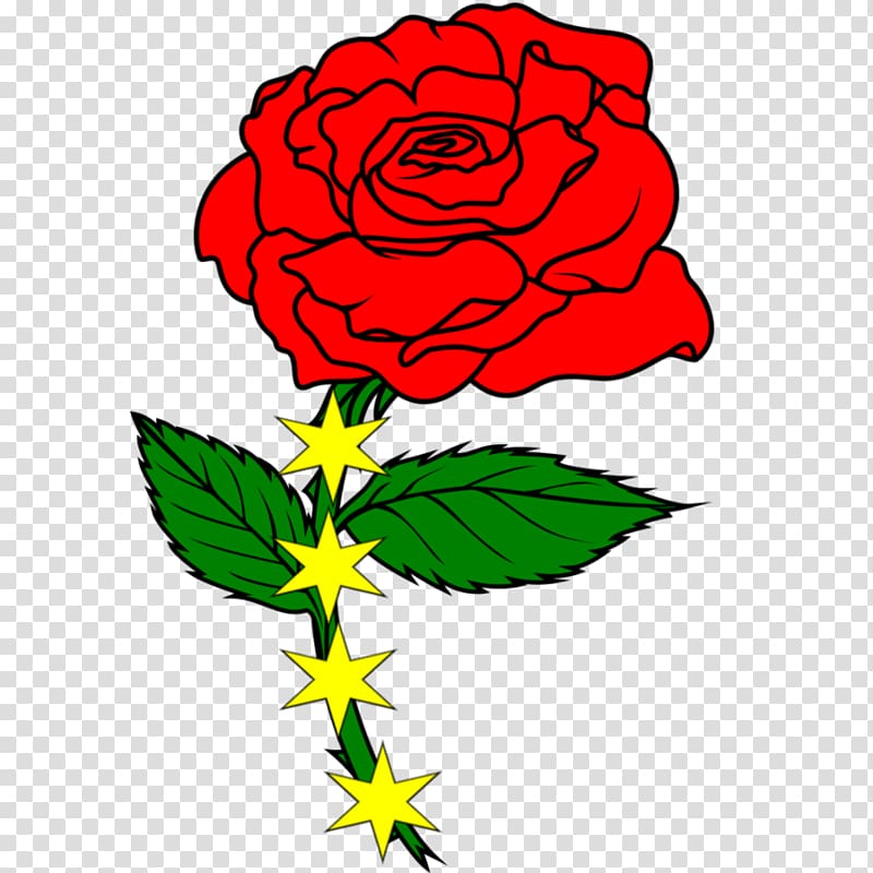 Garden roses Floral design Flower Sketch, Flame rose transparent background PNG clipart